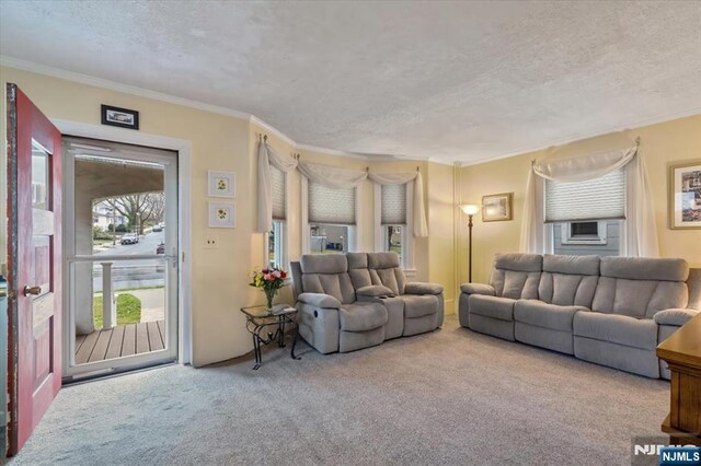 460 River Rd, Bogota, NJ 07603 - carpeted living area featuring a textured ceiling and crown molding