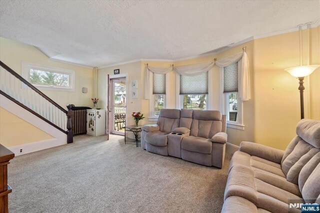 460 River Rd, Bogota, NJ 07603 - carpeted living area featuring a textured ceiling, radiator heating unit, stairway, and crown molding