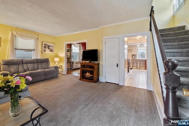 460 River Rd, Bogota, NJ 07603 - carpeted living room with stairway, a textured ceiling, and crown molding