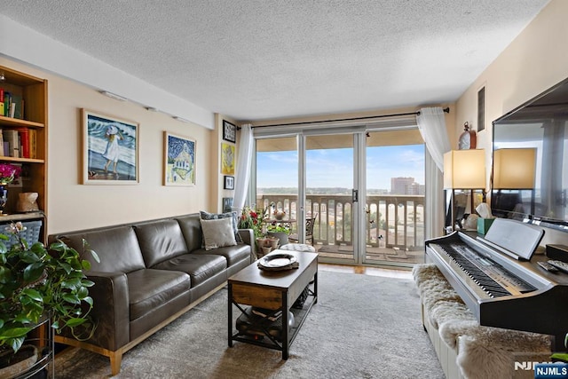 555 N Ave Unit 15W, Fort Lee, NJ 07024 - carpeted living area featuring a textured ceiling
