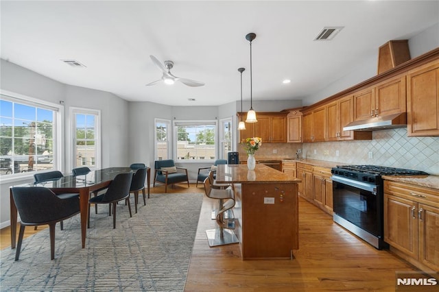 87 Centre St Unit 2, Nutley, NJ 07110 - kitchen with appliances with stainless steel finishes, under cabinet range hood, decorative backsplash, a kitchen island, and light wood-type flooring