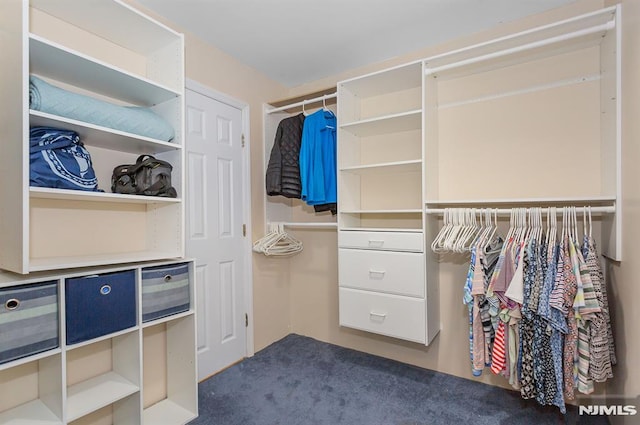 59 Parkview Ave, Elmwood Park, NJ 07407 - walk in closet with dark carpet