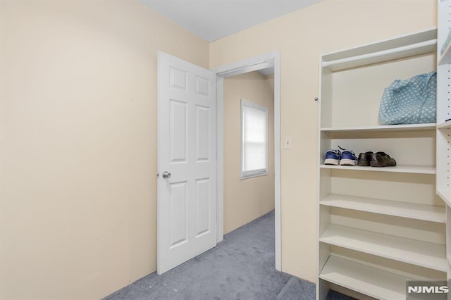59 Parkview Ave, Elmwood Park, NJ 07407 - unfurnished bedroom with carpet floors