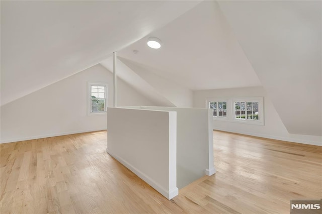 115 Wilson Ave, Rutherford, NJ 07070 - additional living space with lofted ceiling and wood finished floors