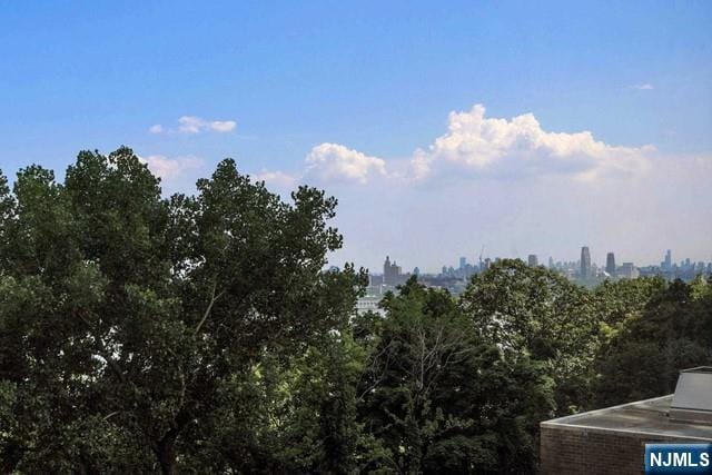1600 Parker Ave Unit 1G, Fort Lee, NJ 07024 - view of nature