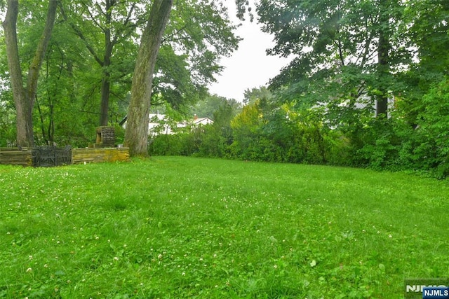 50 Grove St, Waldwick, NJ 07463 - view of green lawn