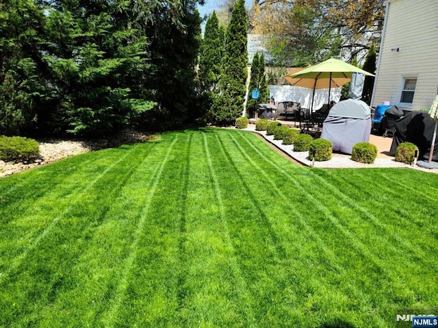 37 Furber Ave, Linden, NJ 07036 - view of green lawn featuring a patio area