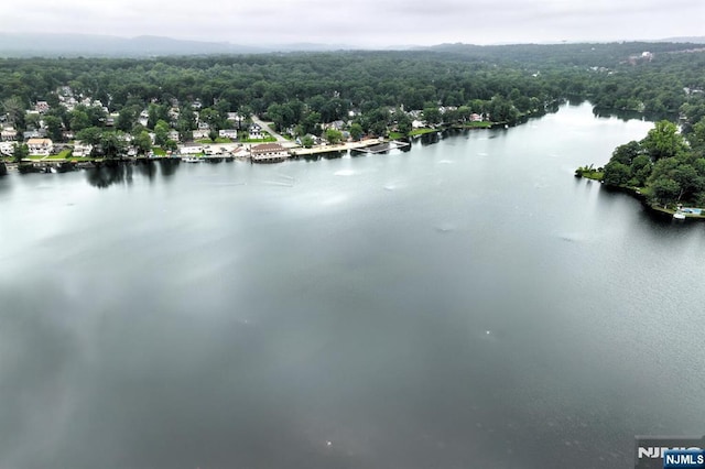 99 Chestnut Dr, Wayne, NJ 07470 - bird's eye view of a heavily wooded area and a nearby body of water