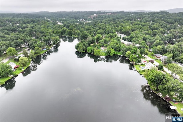 99 Chestnut Dr, Wayne, NJ 07470 - drone / aerial view of a nearby body of water and a forest