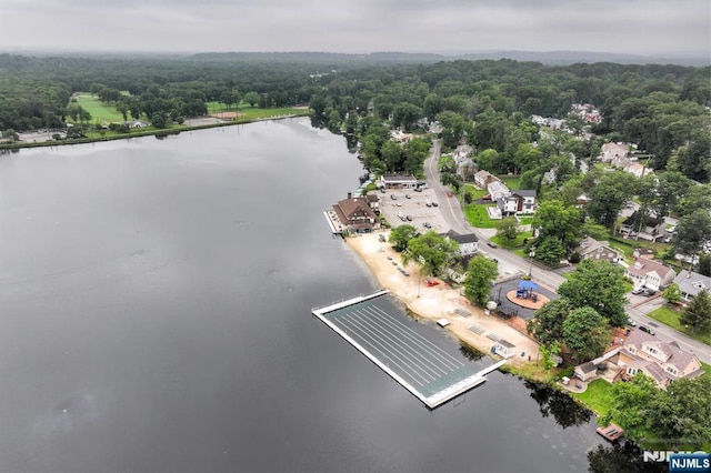 99 Chestnut Dr, Wayne, NJ 07470 - aerial view of property and surrounding area featuring a large body of water and a heavily wooded area
