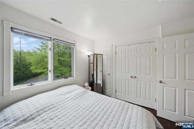 223 Orchard Park, Allendale, NJ 07401 - bedroom featuring multiple windows, two closets, and dark wood-type flooring