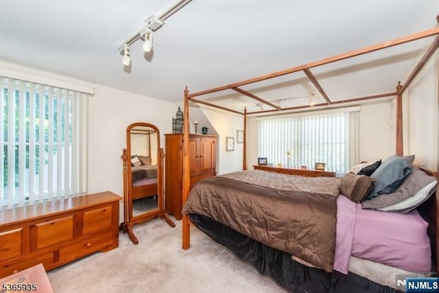 362 Valley Rd, Wayne, NJ 07470 - bedroom with multiple windows and carpet flooring