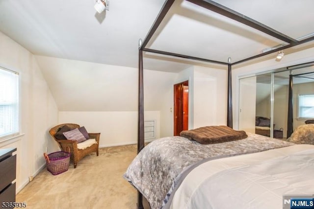 362 Valley Rd, Wayne, NJ 07470 - bedroom with light colored carpet, multiple windows, vaulted ceiling, and a closet