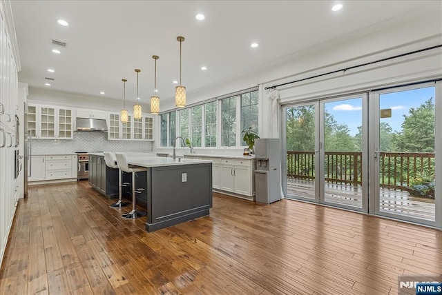 8 Oratam Rd, Upper Saddle River, NJ 07458 - kitchen featuring an island with sink, under cabinet range hood, white cabinets, light countertops, and decorative backsplash