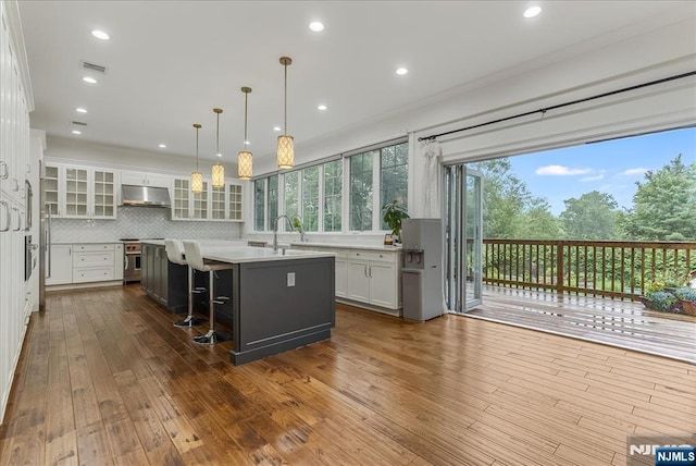8 Oratam Rd, Upper Saddle River, NJ 07458 - kitchen with under cabinet range hood, a kitchen island with sink, white cabinets, dark wood-style floors, and light countertops