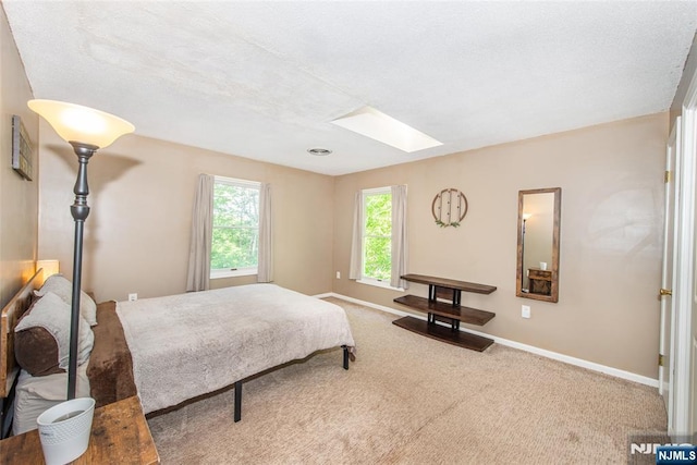 15 Mason St, Jefferson Township, NJ 07849 - bedroom featuring carpet flooring and a skylight