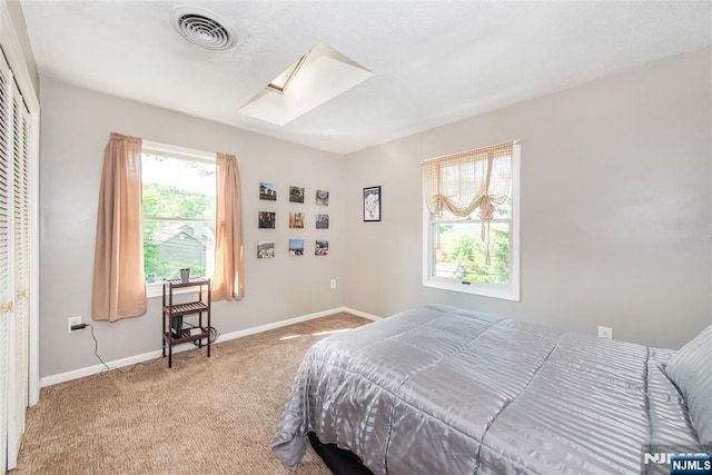15 Mason St, Jefferson Township, NJ 07849 - bedroom with a skylight and carpet flooring