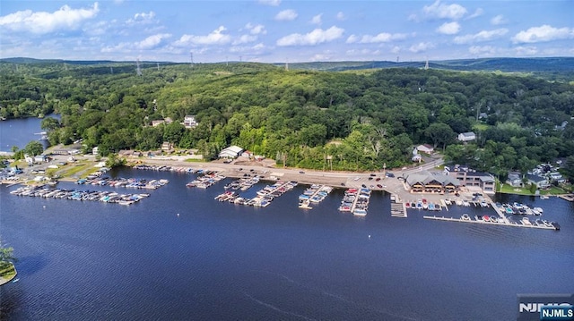 15 Mason St, Jefferson Township, NJ 07849 - aerial view of a marina