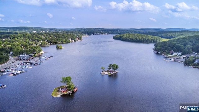15 Mason St, Jefferson Township, NJ 07849 - bird's eye view of a nearby body of water and a heavily wooded area