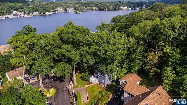15 Mason St, Jefferson Township, NJ 07849 - bird's eye view of a large body of water and a forest