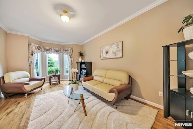 12 Jenny Ln, Wayne, NJ 07470 - living room featuring wood finished floors and ornamental molding