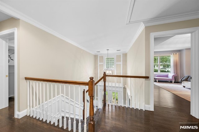 66 Andover Ter, Glen Rock, NJ 07452 - corridor with an upstairs landing, wood finished floors, and crown molding