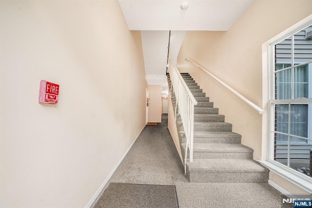 2112 Schindler Ln, Wayne, NJ 07470 - stairs featuring carpet flooring and baseboards