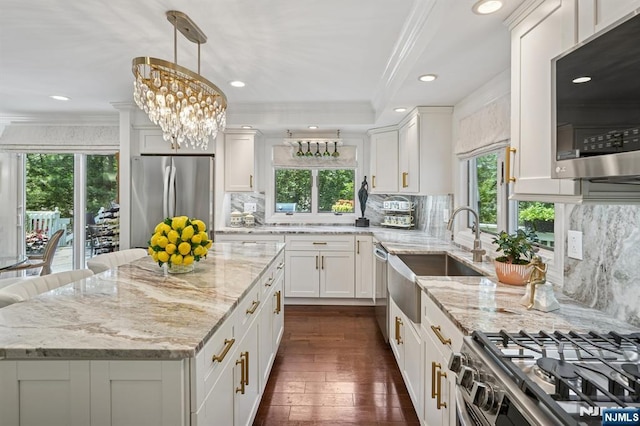 15 Barberry Way, Essex Fells, NJ 07021 - kitchen with appliances with stainless steel finishes, dark wood-style flooring, crown molding, white cabinetry, and light stone counters