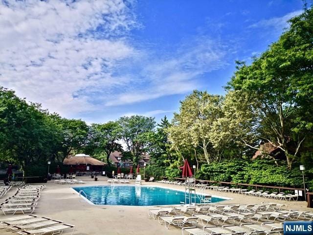 380 Whimbrel Ln Unit 380, Secaucus, NJ 07094 - community pool featuring a patio and view of wooded area