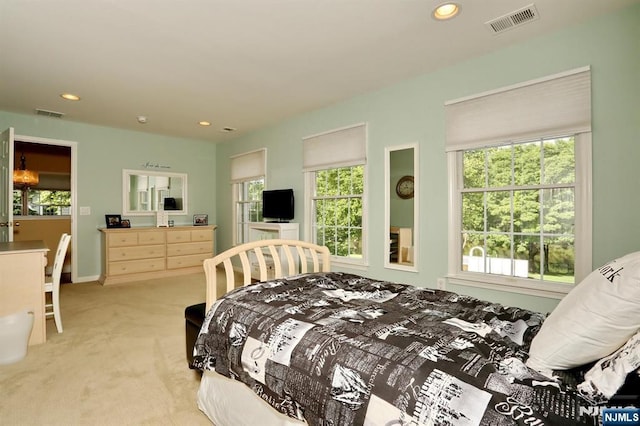 53 Pine Lake Ter Unit T053, River Vale, NJ 07675 - bedroom with light colored carpet, multiple windows, and recessed lighting