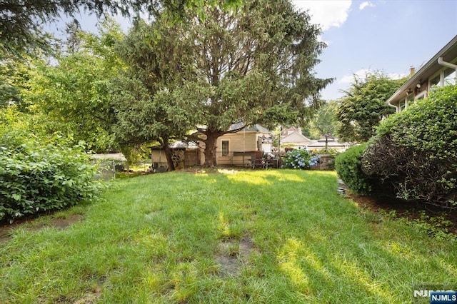 243 Lafayette Ave, Passaic, NJ 07055 - view of yard