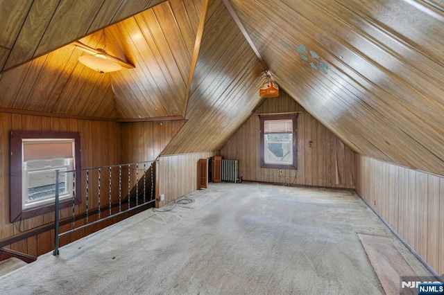 407 Elm St, Kearny, NJ 07032 - bonus room featuring lofted ceiling, carpet, and wood walls