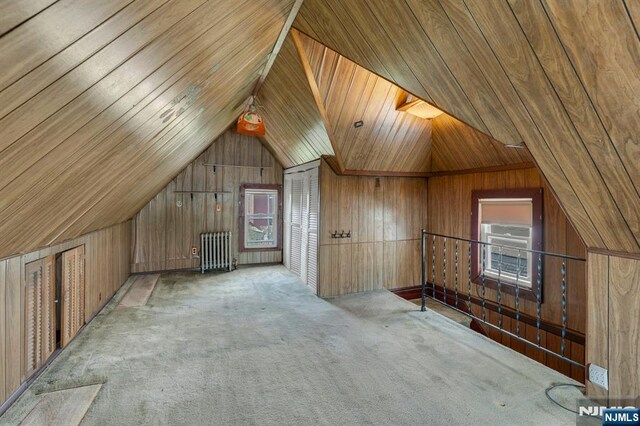 407 Elm St, Kearny, NJ 07032 - bonus room with radiator, vaulted ceiling, wood walls, and carpet