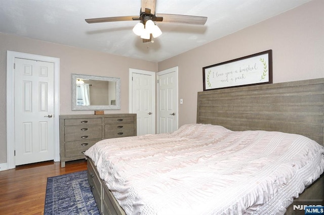 393 High St, Nutley, NJ 07110 - bedroom featuring dark wood-type flooring, multiple closets, and ceiling fan