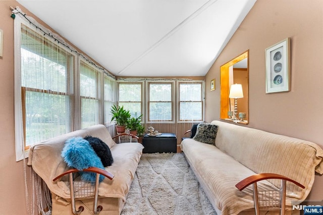 159 Oak Ridge Rd, West Milford, NJ 07438 - sunroom with vaulted ceiling
