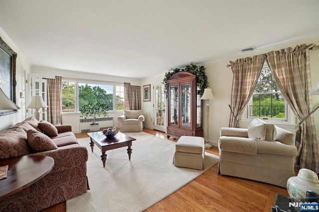 6 Summit, Kinnelon Borough, NJ 07405 - living room featuring radiator and wood finished floors