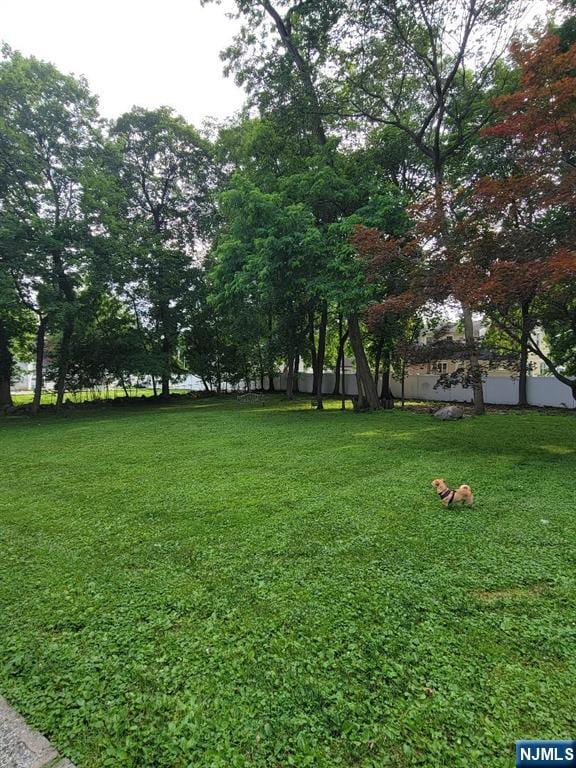 41 N Franklin Tpke Unit O, Ramsey, NJ 07446 - view of grassy yard