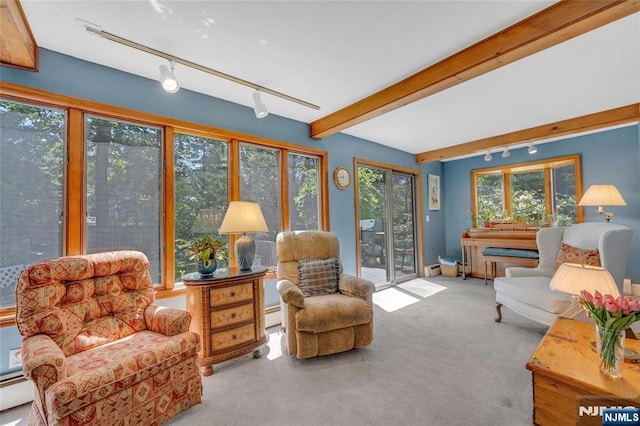 486 Summit Ave, Oradell, NJ 07649 - living room with carpet, track lighting, a baseboard heating unit, beamed ceiling, and baseboard heating
