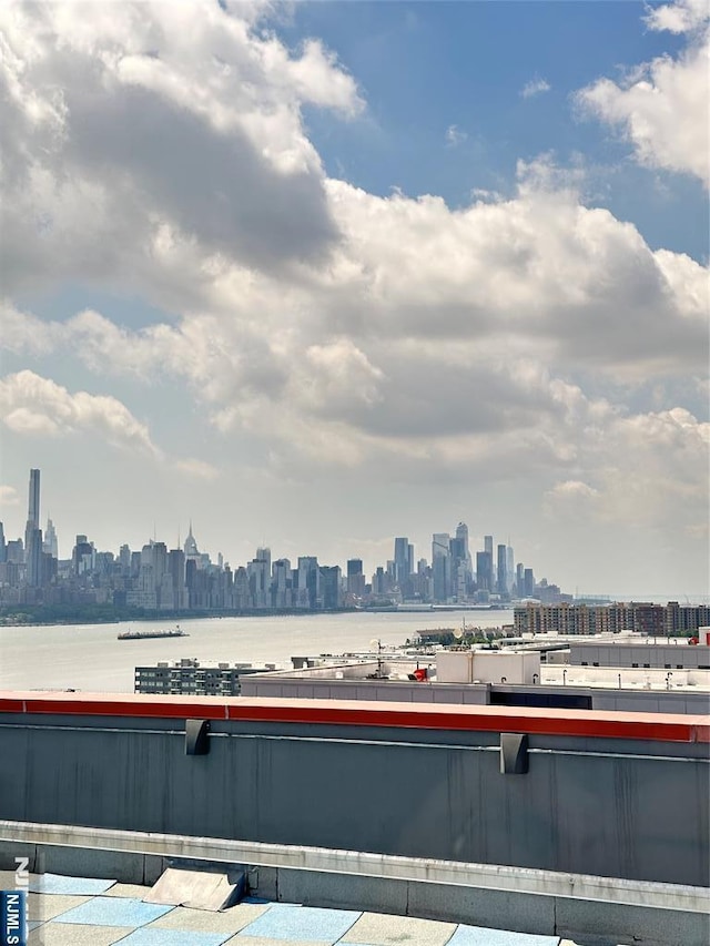 917 Hudson Park, Edgewater, NJ 07020 - water view with skyline