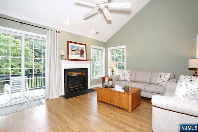 84 Pheasant Run Unit 84, Old Tappan, NJ 07675 - living room featuring ceiling fan, light wood-style flooring, plenty of natural light, high vaulted ceiling, and crown molding