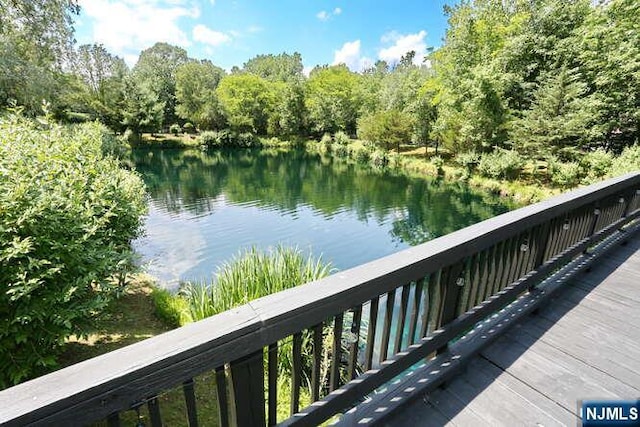 84 Pheasant Run Unit 84, Old Tappan, NJ 07675 - water view