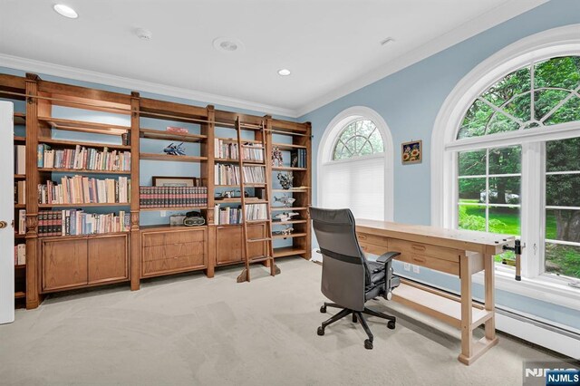 326 Ridge Rd, Cedar Grove, NJ 07009 - home office with ornamental molding, light carpet, and recessed lighting