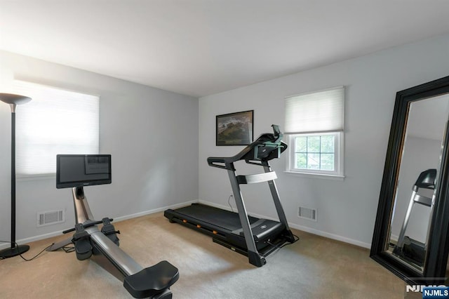 611 Maze Rd, River Vale, NJ 07675 - exercise room featuring carpet