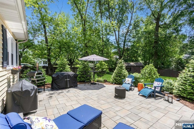 611 Maze Rd, River Vale, NJ 07675 - fenced backyard featuring a grill, a patio area, and a shed
