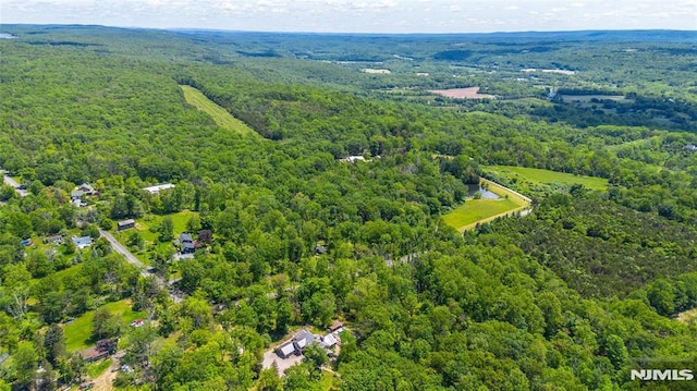69 Mount Pleasant Rd, Knowlton, NJ 07832 - drone / aerial view of a forest