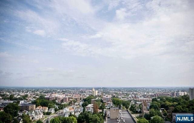 285 Aycrigg Ave Unit 22D, Passaic, NJ 07055 - view of urban area