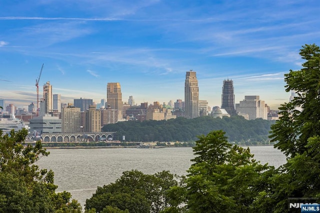 12 Hooks Ln, Edgewater, NJ 07020 - view of city skyline featuring a large body of water