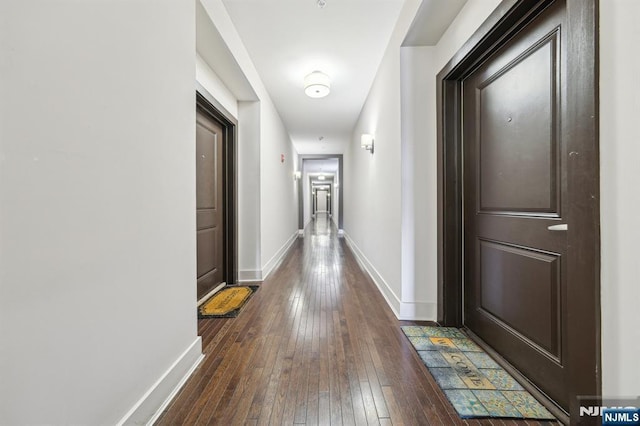 110-114Br Broad, Newark, NJ 07104 - hallway with dark wood-style floors