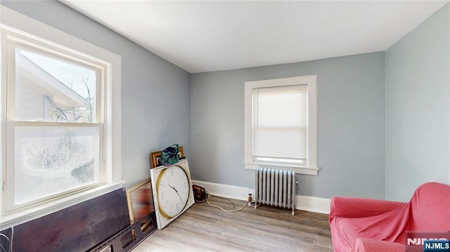 39 Boyden Pkwy, Maplewood, NJ 07040 - living area featuring radiator heating unit, plenty of natural light, and light wood finished floors