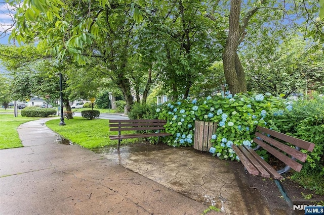 39 Lexington Ave, Bloomfield, NJ 07003 - view of property's community